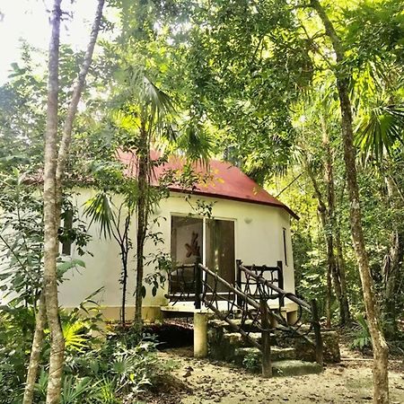 Jolie Jungle Eco Hotel (Adults Only) Leona Vicario Exteriör bild