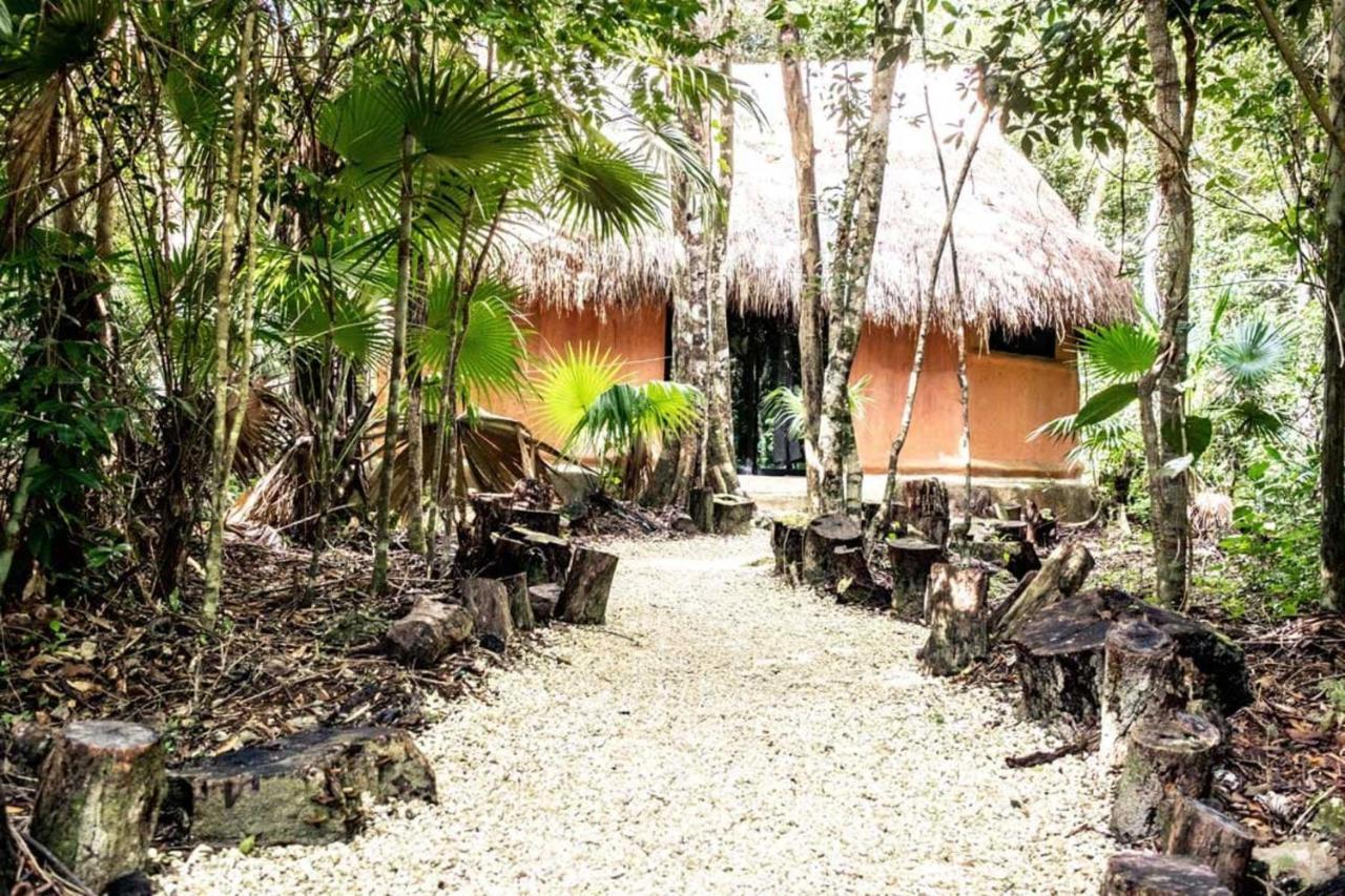 Jolie Jungle Eco Hotel (Adults Only) Leona Vicario Exteriör bild