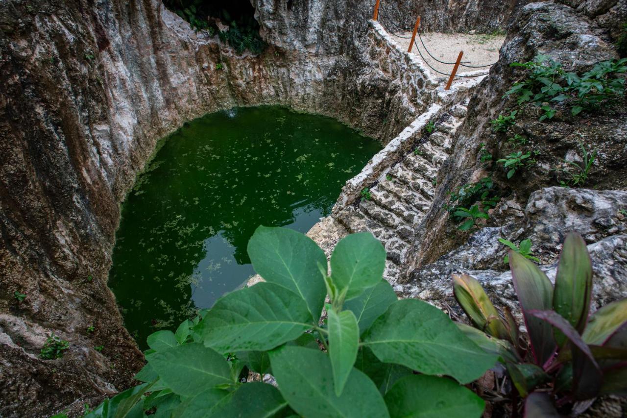 Jolie Jungle Eco Hotel (Adults Only) Leona Vicario Exteriör bild