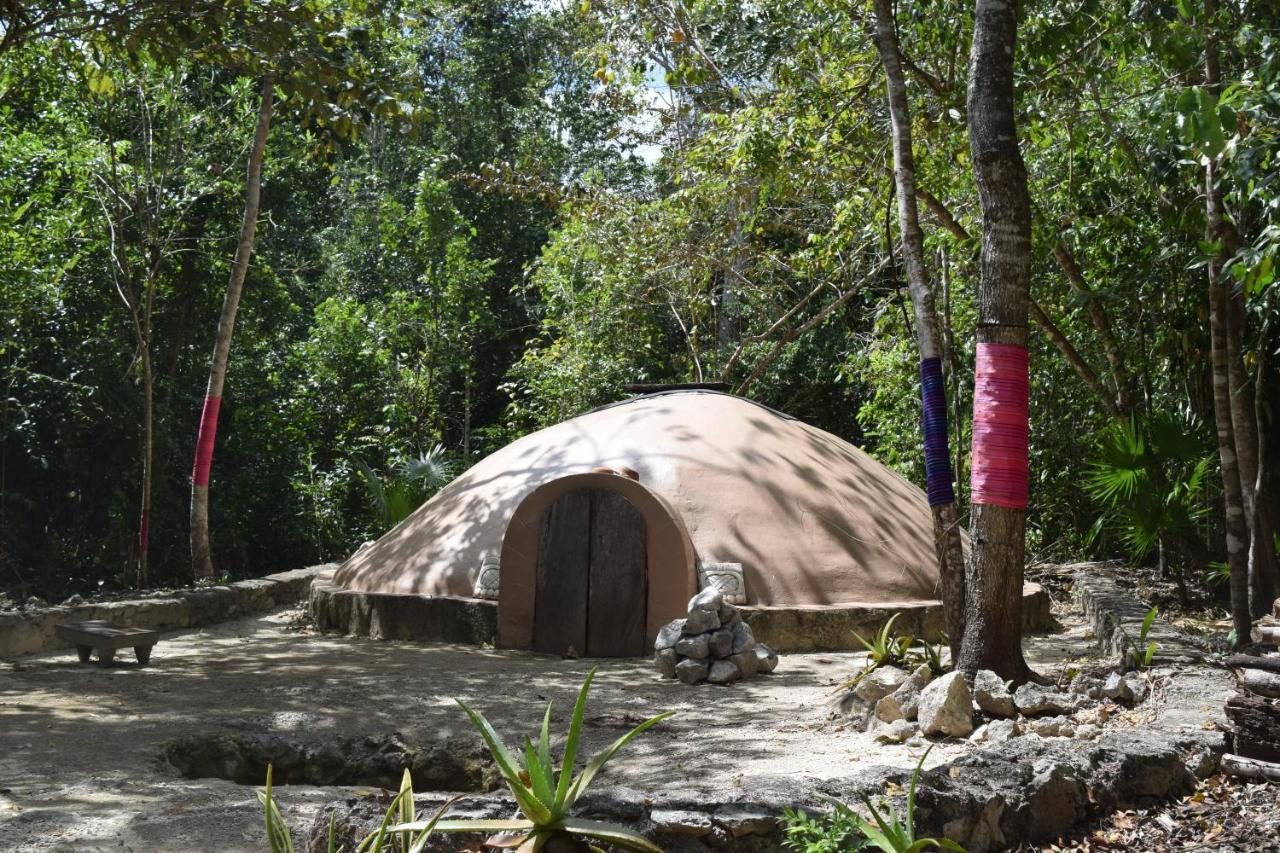 Jolie Jungle Eco Hotel (Adults Only) Leona Vicario Exteriör bild