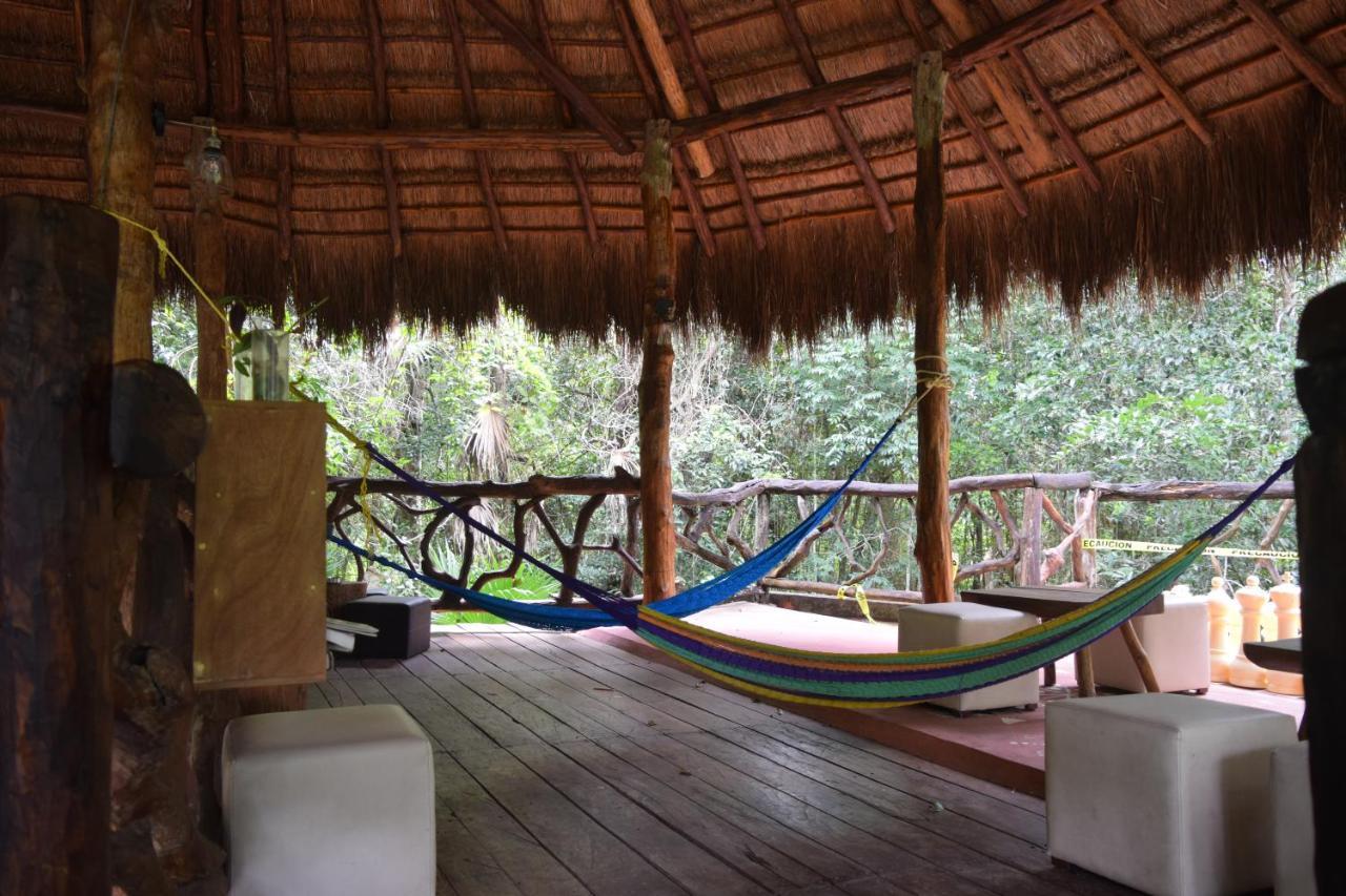 Jolie Jungle Eco Hotel (Adults Only) Leona Vicario Exteriör bild
