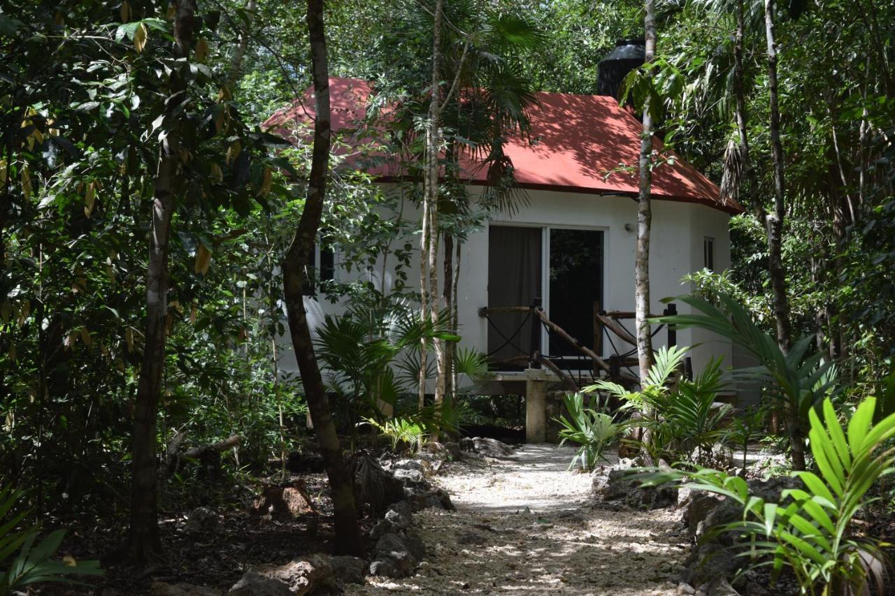 Jolie Jungle Eco Hotel (Adults Only) Leona Vicario Exteriör bild
