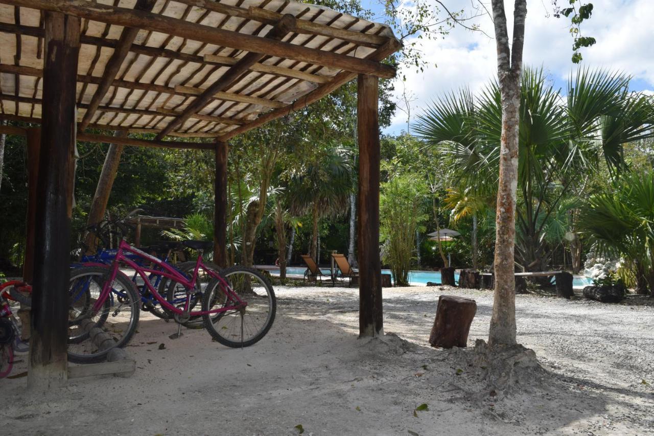 Jolie Jungle Eco Hotel (Adults Only) Leona Vicario Exteriör bild