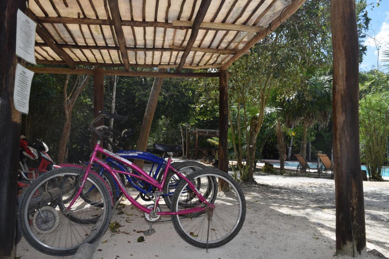Jolie Jungle Eco Hotel (Adults Only) Leona Vicario Exteriör bild
