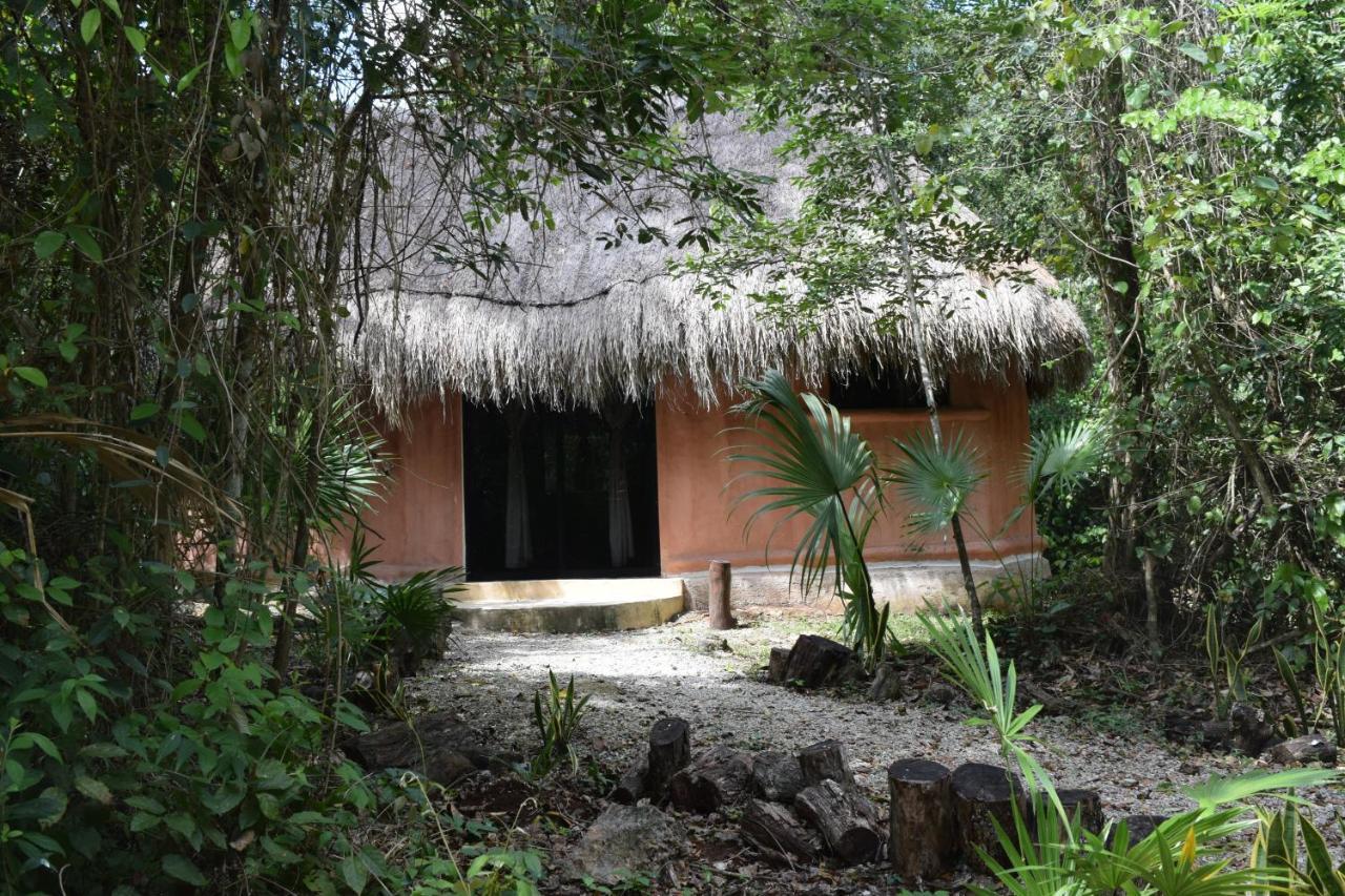 Jolie Jungle Eco Hotel (Adults Only) Leona Vicario Exteriör bild