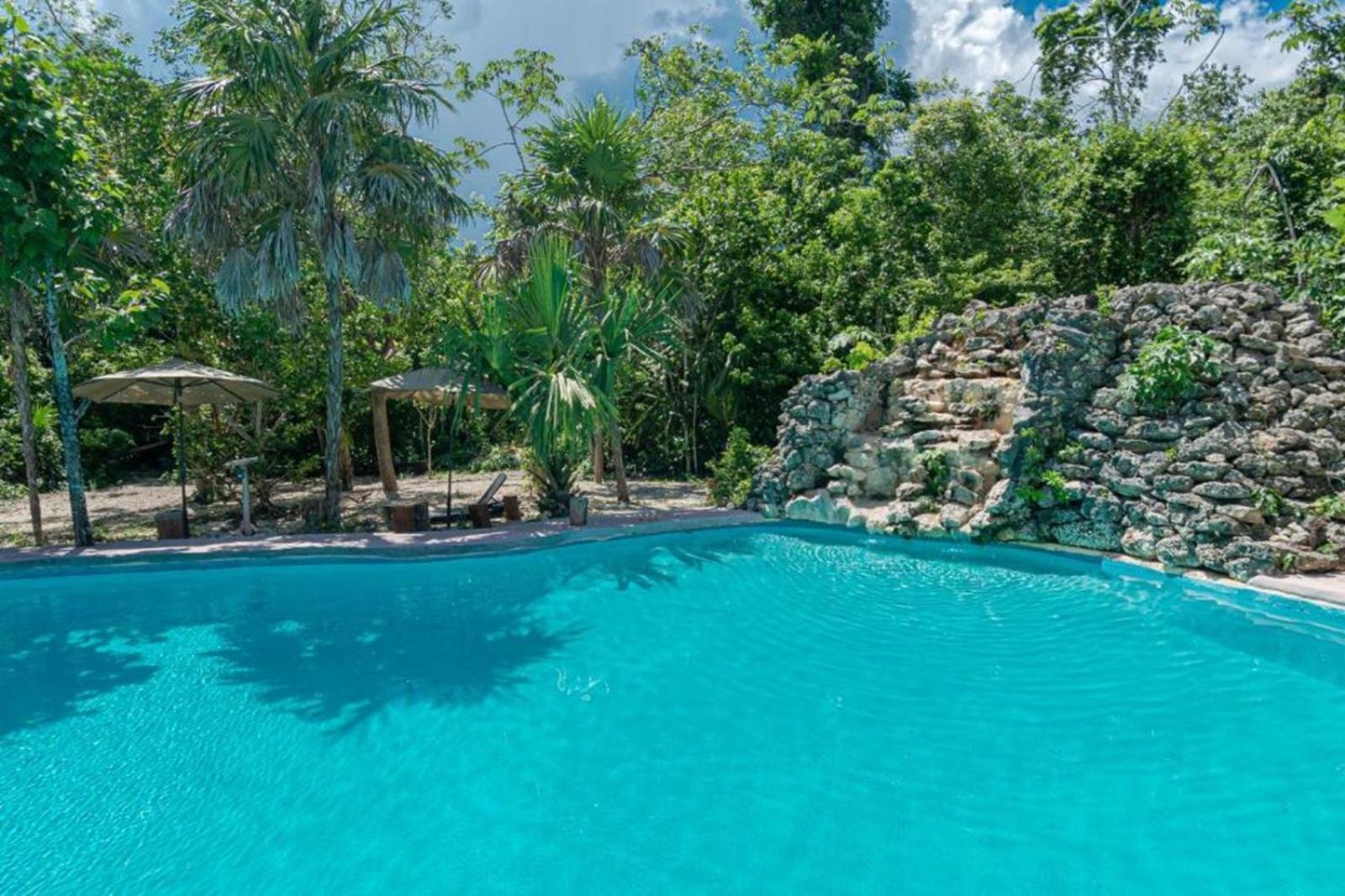 Jolie Jungle Eco Hotel (Adults Only) Leona Vicario Exteriör bild