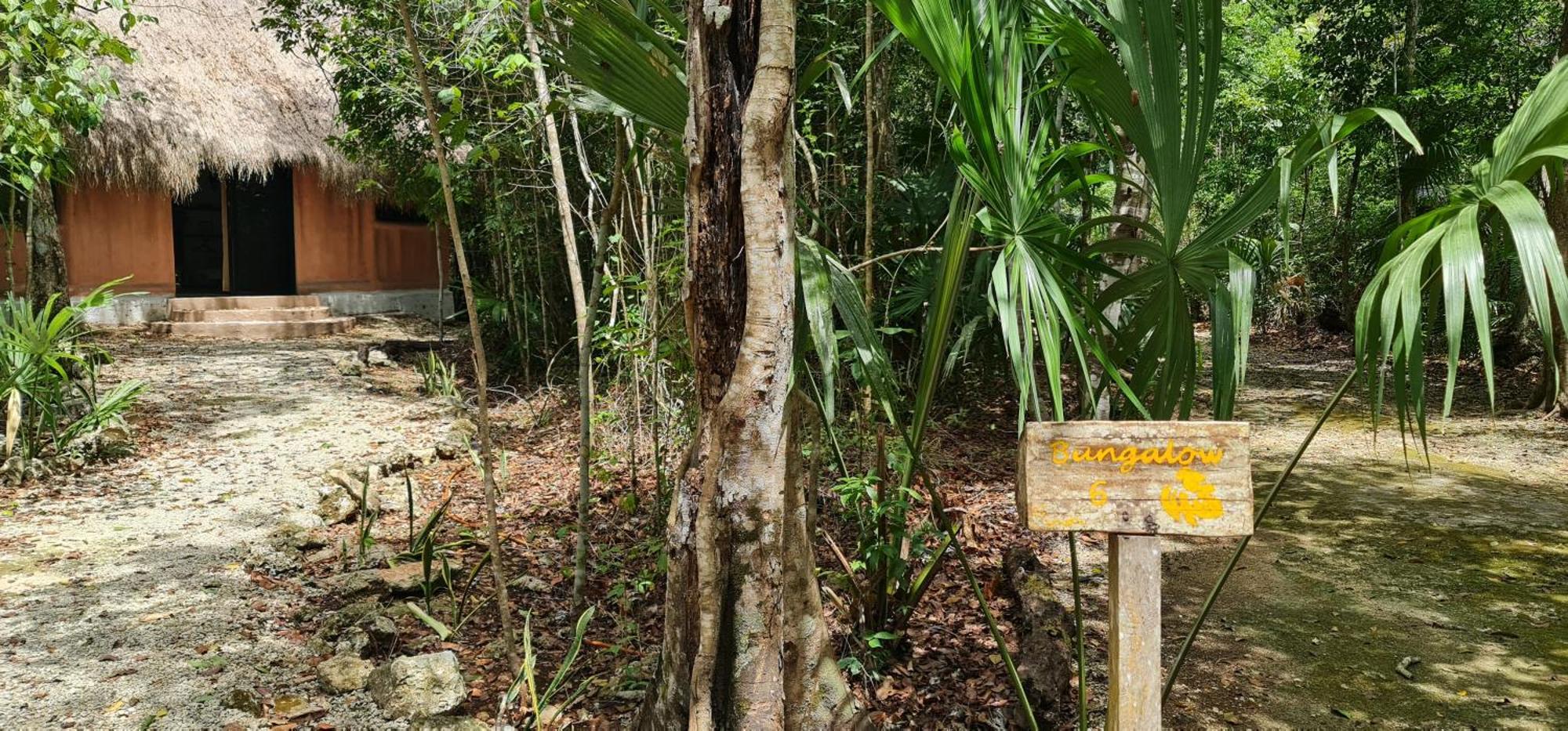 Jolie Jungle Eco Hotel (Adults Only) Leona Vicario Exteriör bild