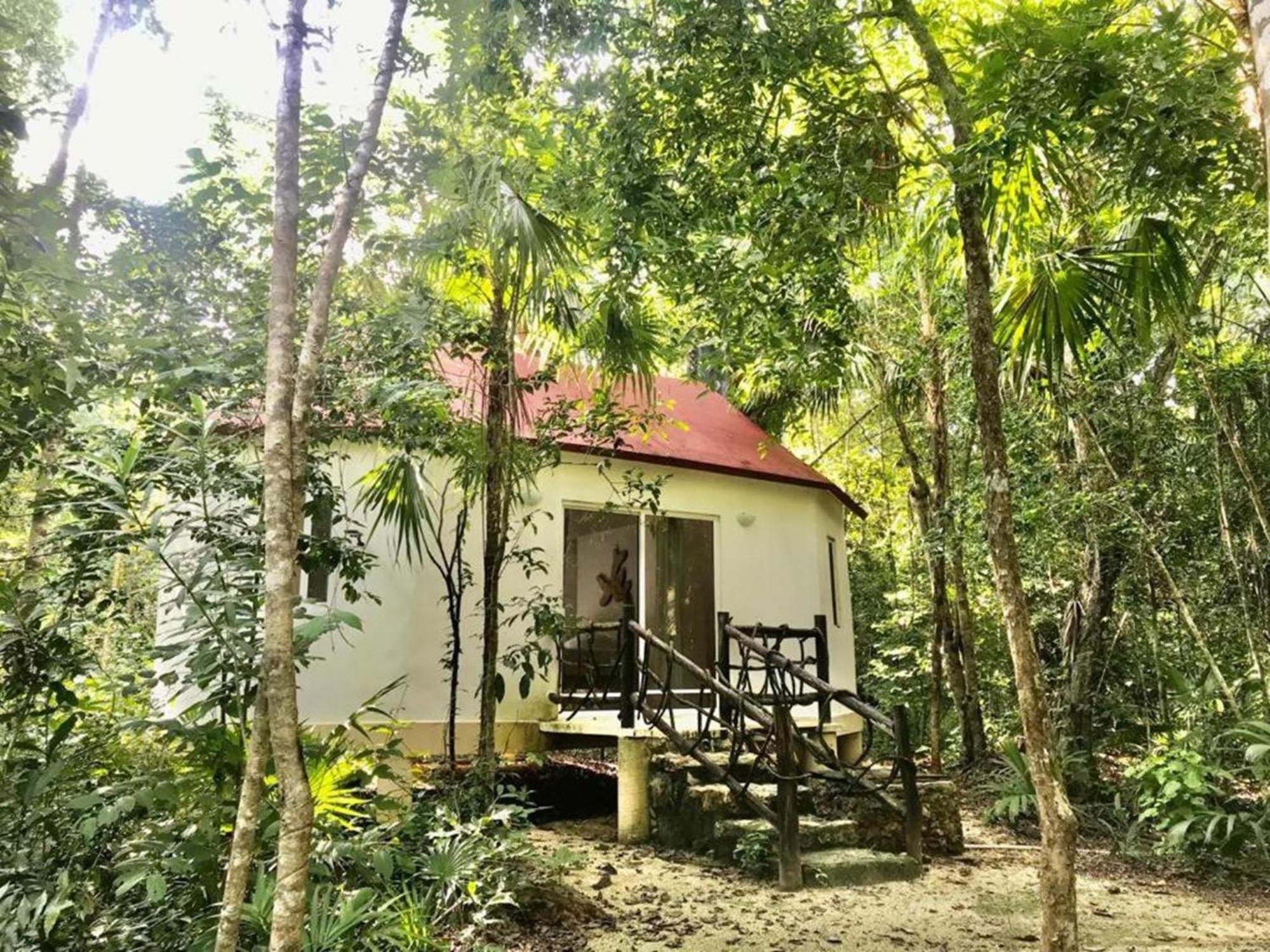Jolie Jungle Eco Hotel (Adults Only) Leona Vicario Exteriör bild