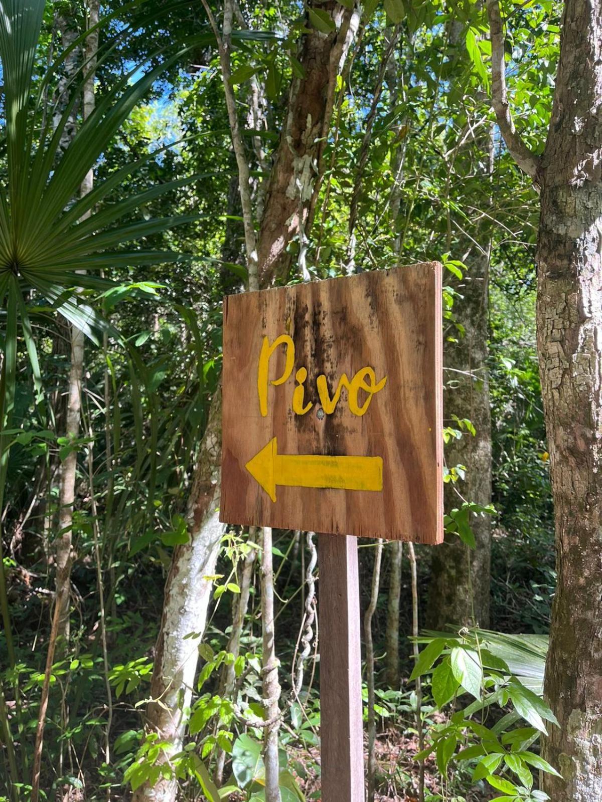 Jolie Jungle Eco Hotel (Adults Only) Leona Vicario Rum bild