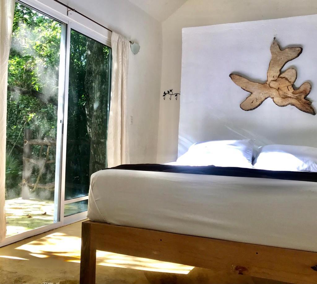 Jolie Jungle Eco Hotel (Adults Only) Leona Vicario Exteriör bild