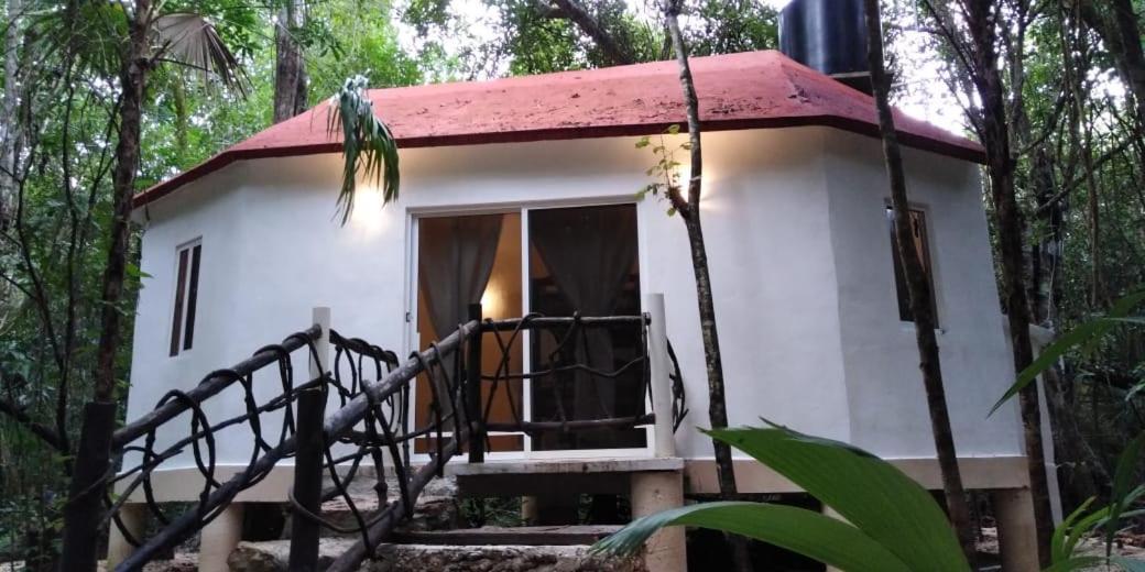 Jolie Jungle Eco Hotel (Adults Only) Leona Vicario Exteriör bild